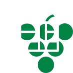 Community Development Skills